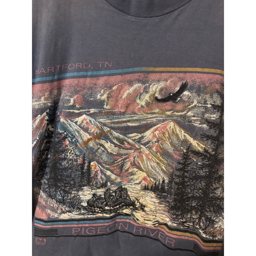 Vintage 1992 Hartford TN Pigeon River T Shirt Fruit of the Loom Blue Gray Med - Picture 3 of 5